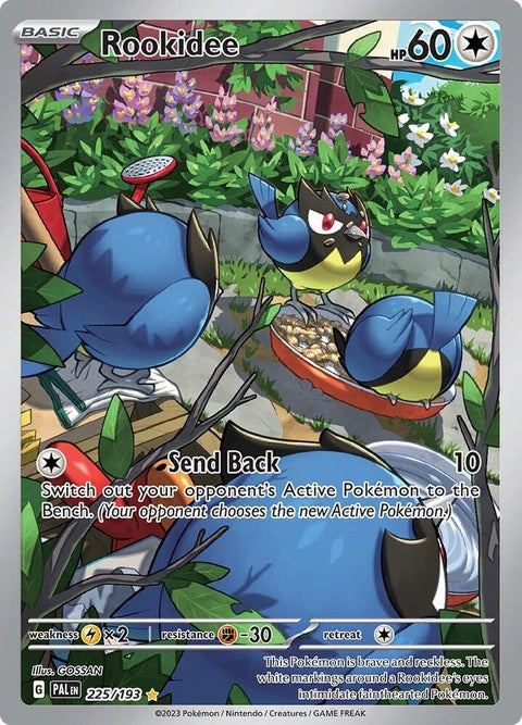 225-rookidee