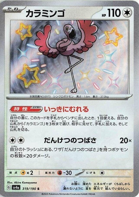 319-flamigo