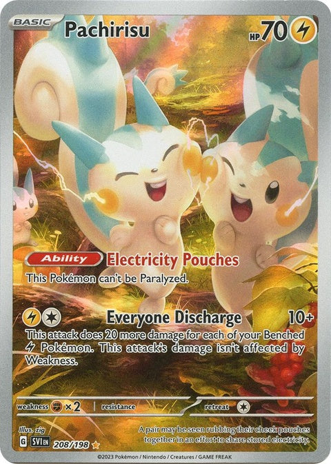 208-pachirisu